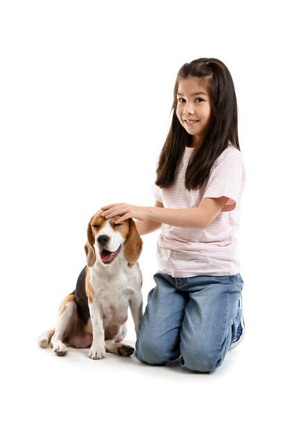 Pieni aasialainen tyttö söpö beagle koira valkoisella taustalla
 - Valokuva, kuva
