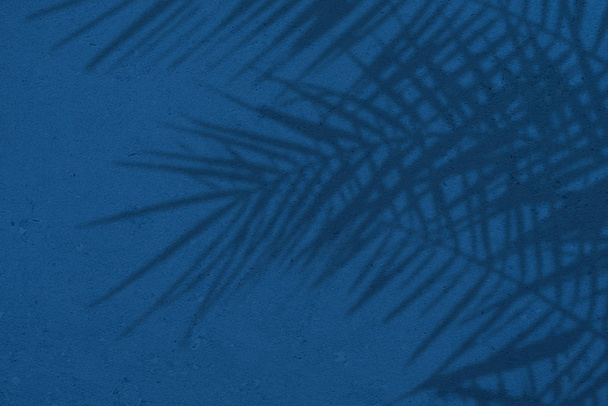 Серые тени натуральных пальмовых листьев на голубой бетонной текстуре W
 - Фото, изображение