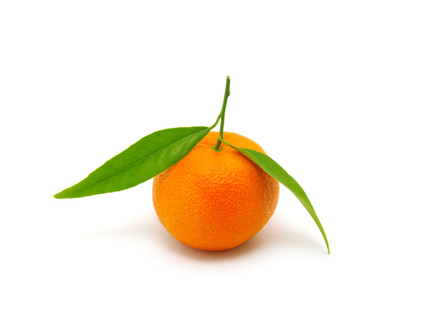 mandarin on white - Photo, Image
