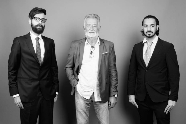 Portrait of multi ethnic bearded businessmen together - 写真・画像