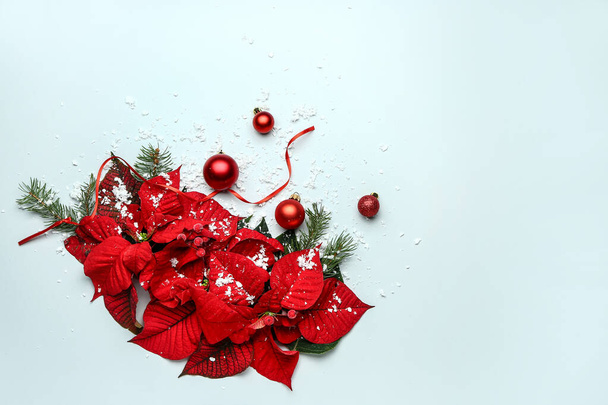 Mooie kerstcompositie met poinsettia op witte achtergrond - Foto, afbeelding