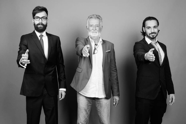 Monietnisten parrakkaiden liikemiesten muotokuva yhdessä
 - Valokuva, kuva