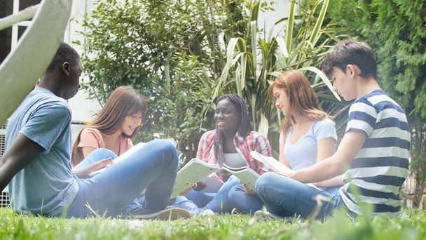 Multi grupo étnico de cinco estudantes sentados na grama fazendo lição de casa e relaxante. - Foto, Imagem