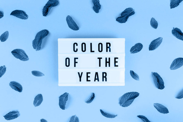 Retro lichtbak met kleur van het jaar formulering en afgezwakte munt bladeren willekeurig patroon op de trendy effen blauwe achtergrond - Foto, afbeelding