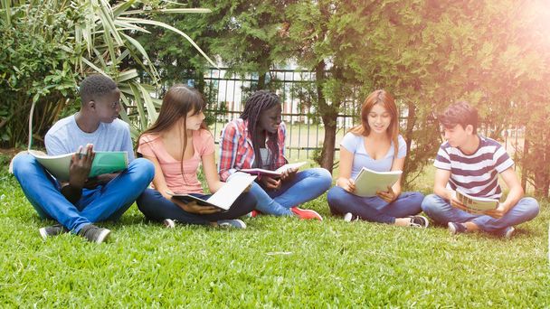 Vijf tieners hangen rond in een park. Studenten van multi-etnische klaslokaal gezeten op het gras doen huiswerk. - Foto, afbeelding