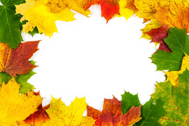 Az őszi levelek háttere - Fotó, kép