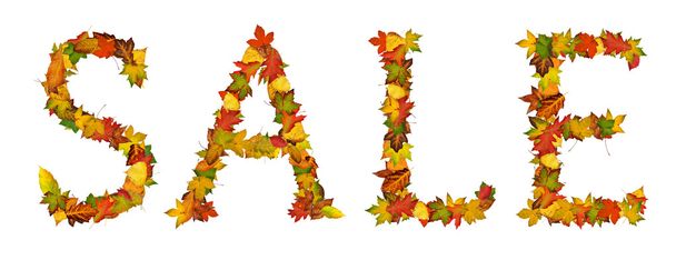 Word Sale arrange with autumn leaves - Photo, image