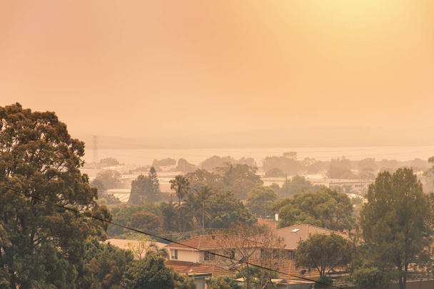 Cespuglio australiano: il fumo dei cespugli copre il cielo e il sole incandescente appena visto attraverso il fumo. Periferia in una foschia di fumo. Pericolo catastrofico di incendio, NSW, Australia
 - Foto, immagini
