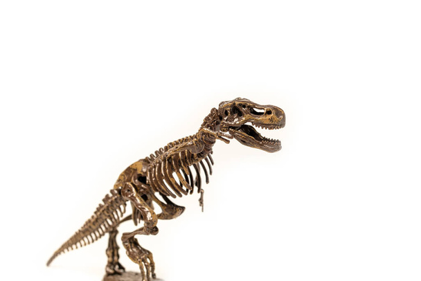 Tyrannosaurus dinosaurus skelet op een witte achtergrond. - Foto, afbeelding