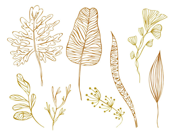 Иллюстрация рисует оранжевый контур листьев экзотических растений на белом изолированном слое в виде набора
 - Фото, изображение