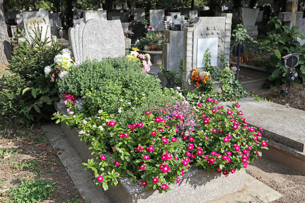 Надгробна плита у відкритий цвинтар - Фото, зображення