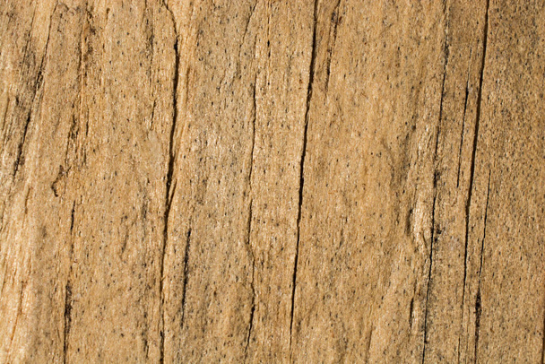 Wooden texture with natural patterns - Photo, Image