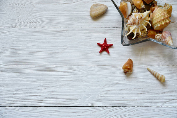 Seashells on a white wooden background. Summer background. - Foto, imagen