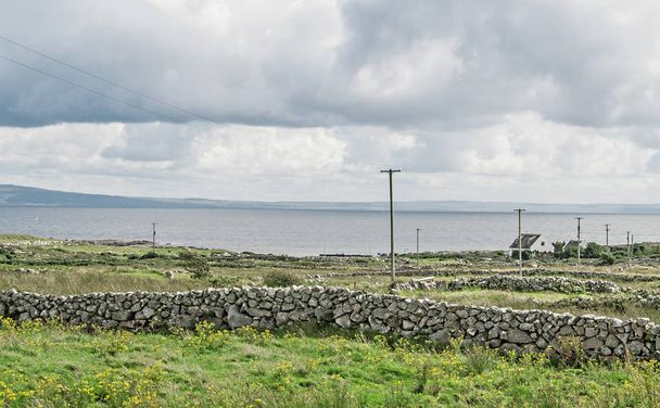 Paisagem irlandesa com paredes de pedra velhas, ovelhas e oceano
 - Foto, Imagem
