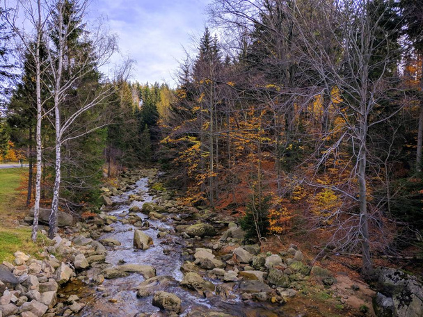 Mountain Stream near Szklarska Porba in Autumn (Poland) - Photo, Image