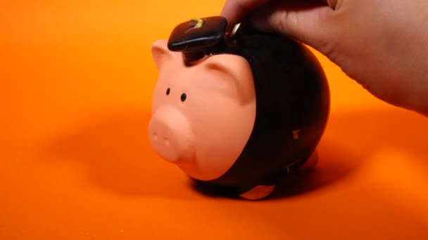Coin savings in Mexican pesos in a piggy bank - Footage, Video