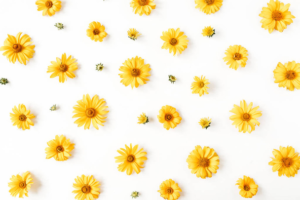 Floral composition with yellow daisy flower buds pattern texture on white background. Flatlay, top view. - Photo, Image
