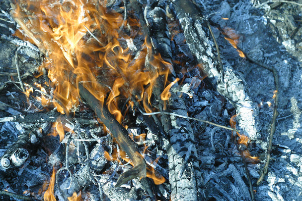 Feuer und Asche. Lagerfeuer im Sommer - Foto, Bild