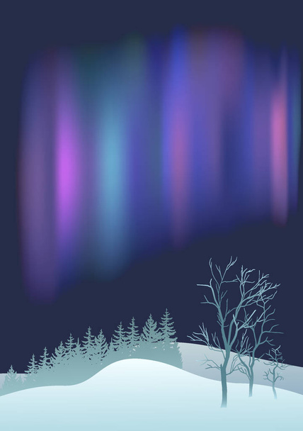 Φανταστική βόρειο σέλας πάνω από το πευκόφυτο δάσος και το χειμώνα πεδίο. - Διάνυσμα, εικόνα