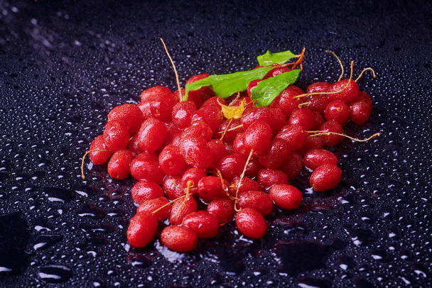 Fresh washed berries of red curran - Zdjęcie, obraz