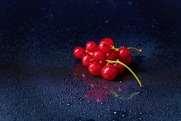 Fresh washed berries of red curran - Zdjęcie, obraz