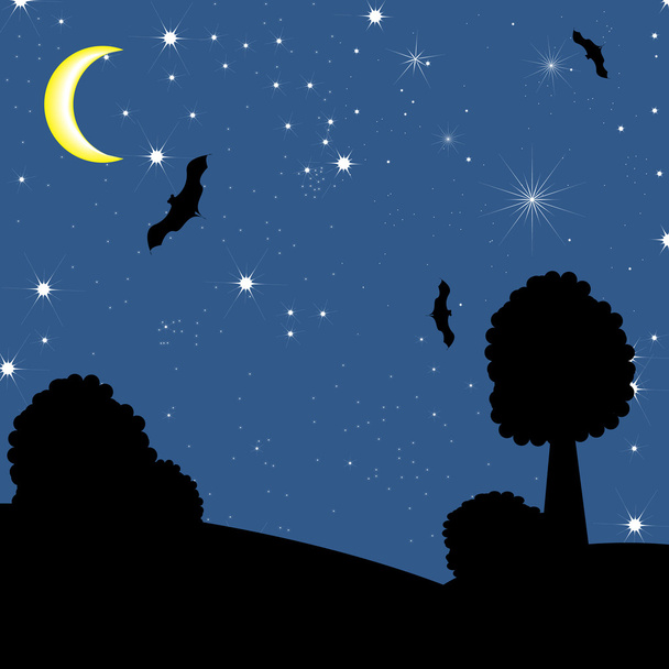Night's sky - Вектор, зображення