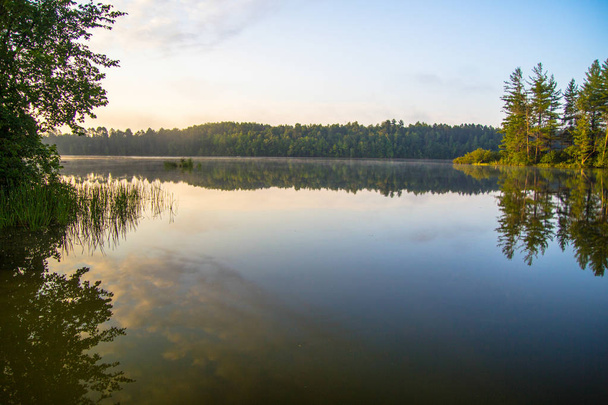 Wilderness Forest Lake Sunrise. Mattina alba su un remoto lago selvaggio nel nord del Michigan
. - Foto, immagini
