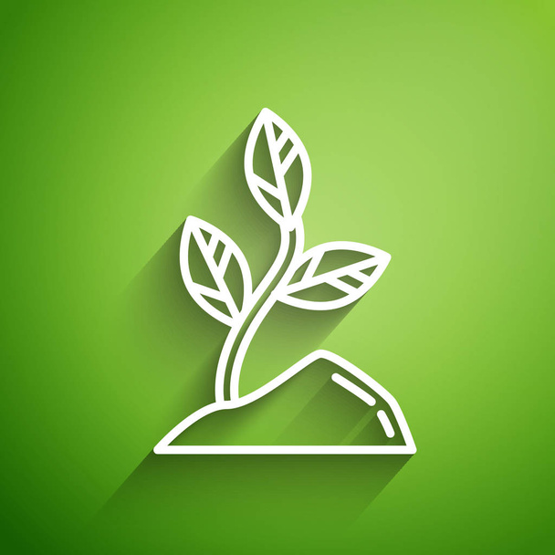 Valkoinen viiva Sprout kuvake eristetty vihreällä taustalla. Siemenet ja taimet. Jättää kyltin. Lehtiluonto. Vektorikuvaus
 - Vektori, kuva