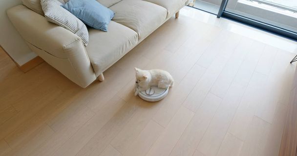 Pomerania cane sedersi su robot aspirapolvere scivola attraverso la stanza - Foto, immagini