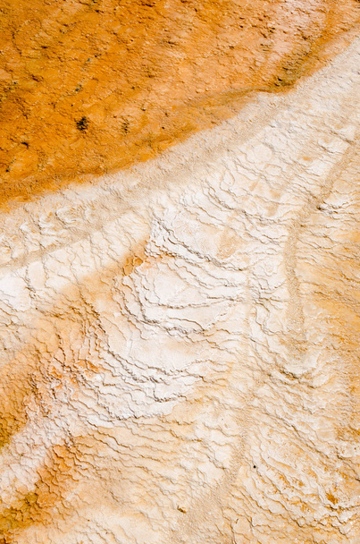 Caliza y azufre en las rocas en Mammoth Hot Springs
 - Foto, imagen