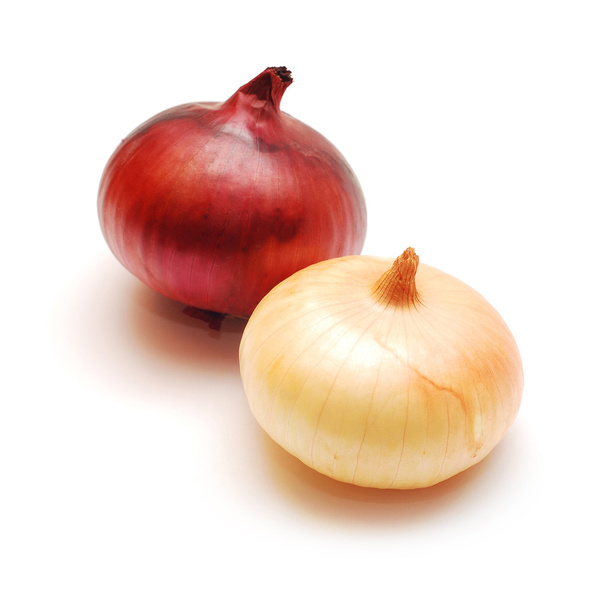 onion - Photo, Image