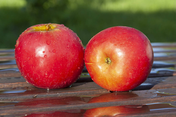 kırmızı elmalar ahşap bir bankta yatıyor - Fotoğraf, Görsel