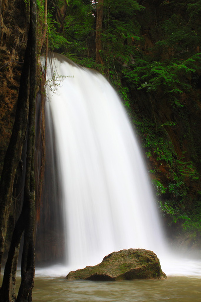 cascade dans la forêt - Photo, image