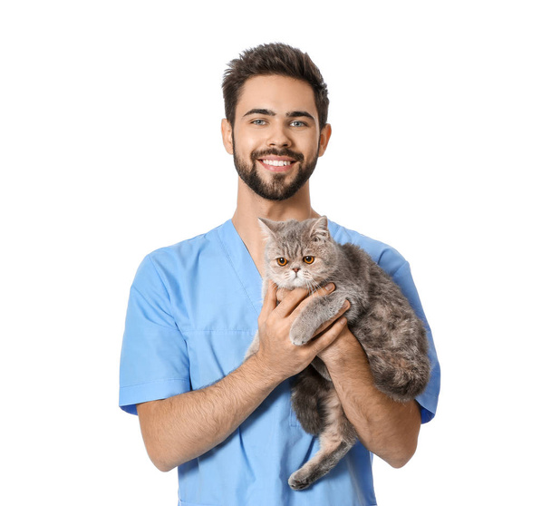 Tierarzt mit niedlicher Katze auf weißem Hintergrund - Foto, Bild