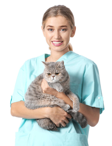 Veterinarian with cute cat on white background - Fotoğraf, Görsel