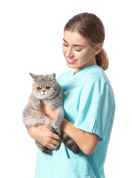 Veterinarian with cute cat on white background - 写真・画像