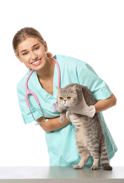 Veterinární lékař s roztomilou kočkou na bílém pozadí - Fotografie, Obrázek