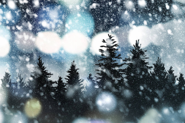Χειμώνας και Χριστούγεννα φόντο σχεδιασμό του πεύκου και χιόνι πτώση - Φωτογραφία, εικόνα