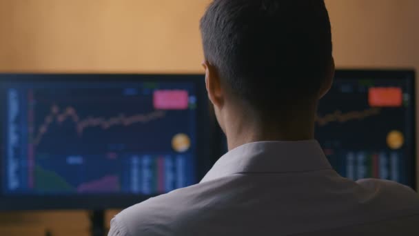 Achteraanzicht van jonge makelaar zakenman die grafieken op computermonitor analyseert alvorens aandelen te kopen of te verkopen - Video