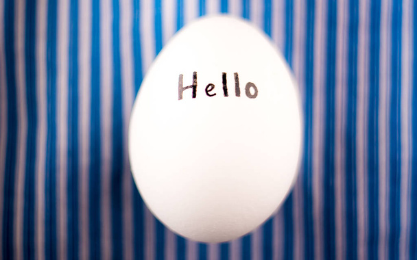 Bílé kuřecí vajíčko s černým nápisem Hello - Fotografie, Obrázek