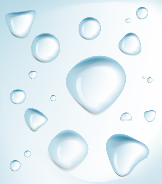 Water drops. Realistic vector illustration. - Vector, Image