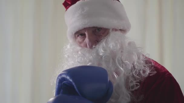 Портрет бородатого смешного Санта-Клауса в синих боксерских перчатках хочет драться крупным планом. Старик угрожающе дышит воздухом, глядя в камеру. Рождество, праздник, плохой Санта
 - Кадры, видео