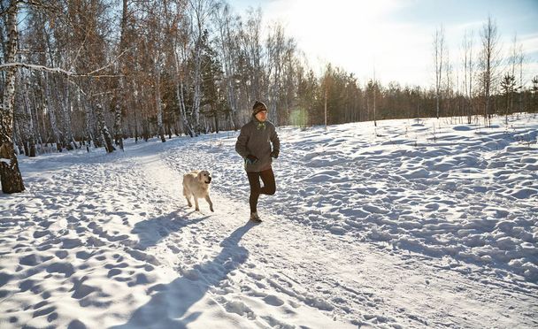 Labrador retriever dog for a walk with its owner man in the winter outdoors doing jogging sport. - Photo, Image