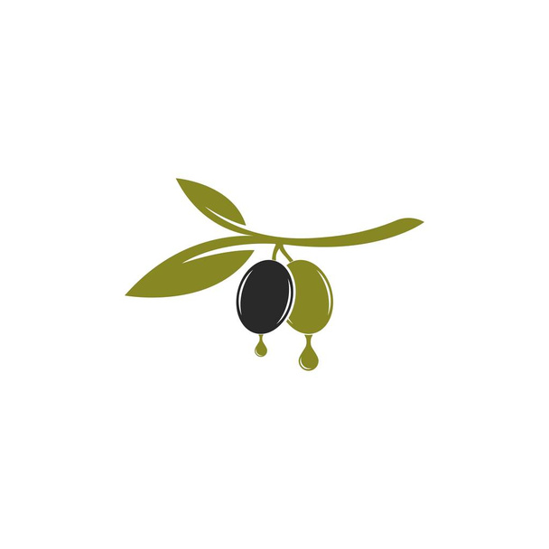jeu d'illustration vectorielle logo olive
 - Vecteur, image