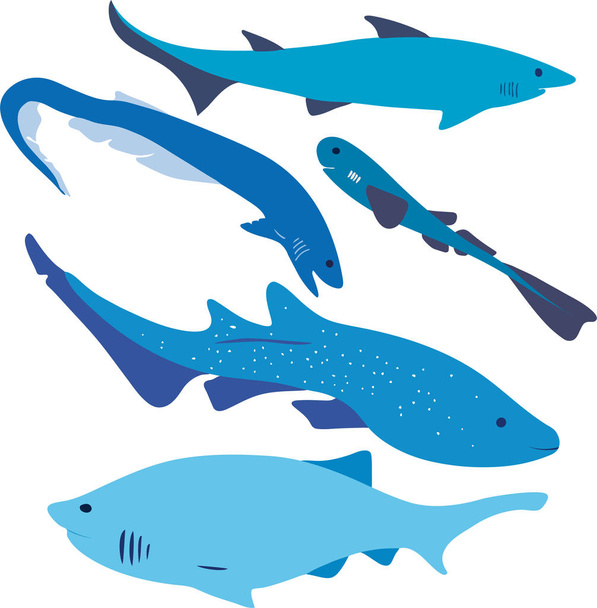 пять видов голубых векторных акул
 - Вектор,изображение