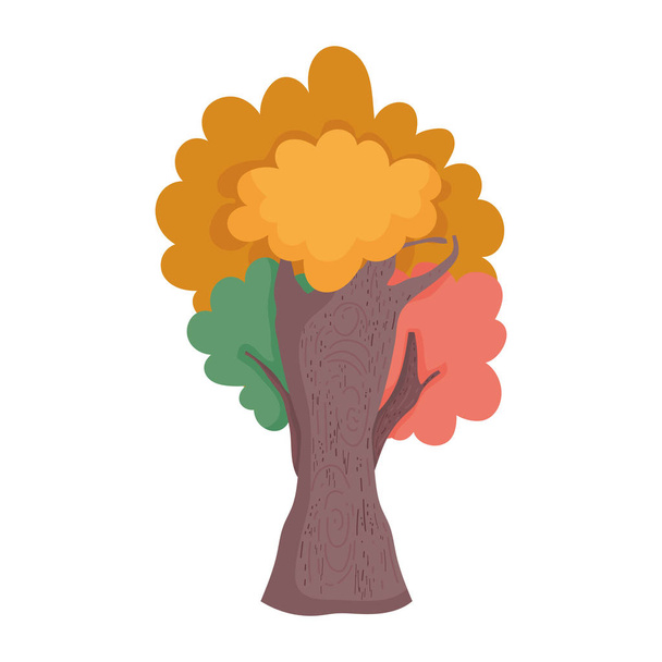arbre feuillage nature botanique automne - Vecteur, image