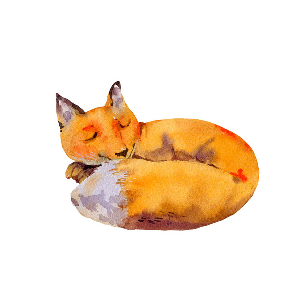 Akvarell erdei róka üdvözlőlap, Alvó róka, Természetes betegség - Fotó, kép
