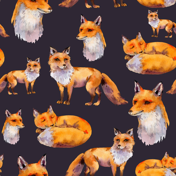 水彩の森狐シームレスなパターン、肖像狐、眠気 - 写真・画像