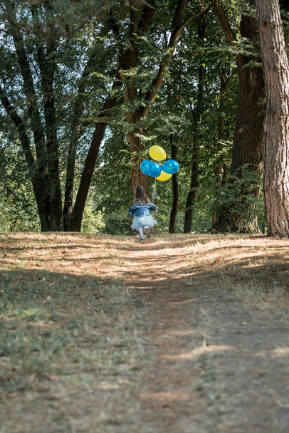 Μικρό χαριτωμένο κορίτσι τρέχει στο πάρκο με ένα μάτσο μπαλόνια. Τρέχοντας πίσω μακριά. Η έννοια της ευτυχισμένης παιδικής ηλικίας. - Φωτογραφία, εικόνα
