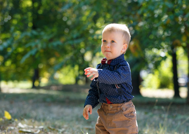 Porträt eines niedlichen kleinen Jungen vor dem Hintergrund der Natur. Er ist im Begriff zu weinen. Familienleben. - Foto, Bild